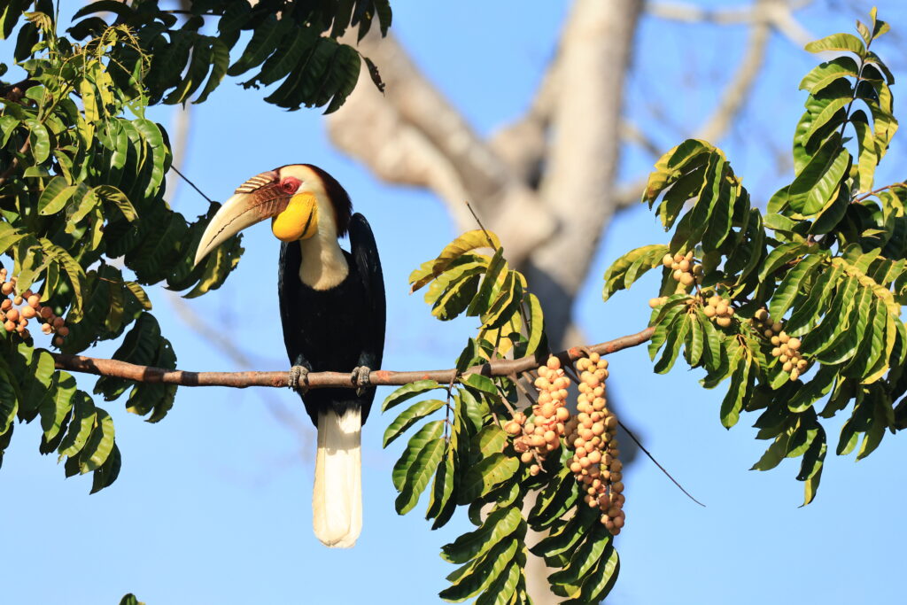 adobestock 1461516658