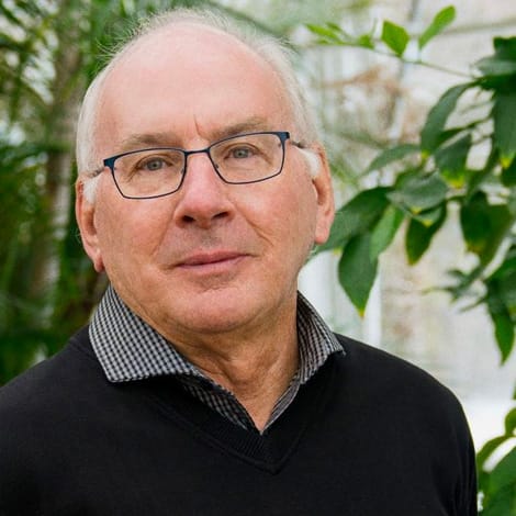 cbg hebert