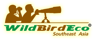 wildbirdeco logo