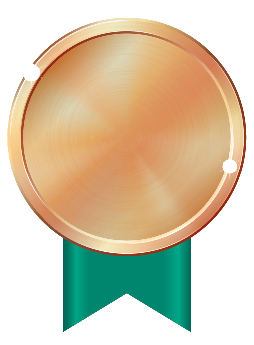 sponsorship bronze